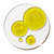 Vitamine E